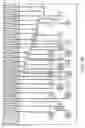 Fig. 68 - Integrated apparatus for performing nucleic acid extraction and diagnostic testing on multiple biological samples
