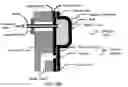 Fig. 46 - Reagent packaging devices and uses thereof