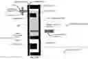 Fig. 51 - Reagent packaging devices and uses thereof