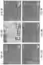 Fig. 08 - Patterned optoelectronic tweezers