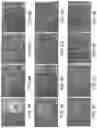 Fig. 10 - Patterned optoelectronic tweezers