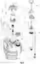 Fig. 07 - HAND-DEPRESSING VACUUM PUMPING DEVICE