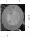 Fig. 03 - METHOD OF MANUFACTURING METALLIC WELDING WIRES AND METALLIC WELDING WIRES FORMED THEREBY