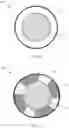 Fig. 12 - MULTIPLE ZONE PAD CONDITIONING DISK