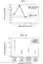 Fig. 10 - Hollow spring and manufacturing method thereof