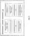 Fig. 06 - SYSTEM AND METHOD FOR AUTOMATIC LEARNING OF PRODUCT MANIPULATION