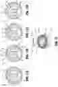 Fig. 06 - Oscillating rotary shaver