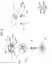 Fig. 04 - Reciprocating tool