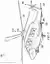 Fig. 04 - Methods for forming rotor blades having foam cores