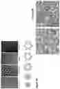 Fig. 43 - Engineering reversible elasticity in ductile or brittle thin films and products resulting from said engineering