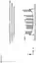 Fig. 15 - Consumable Scaffold with Trimmed Pillars for 3D Printing
