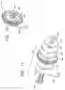Fig. 11 - Retractable vehicle step