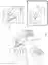 Fig. 02 - Authentication concealment and alignment systems