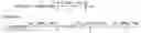 Fig. 02 - METHOD FOR CONTROLLING A FORCE REPRESENTATIVE OF A PARKING BRAKING OF A VEHICLE AND SYSTEM THEREOF