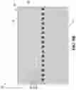 Fig. 10 - Track system for traction of a vehicle
