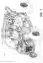 Fig. 02 - Vehicle with brake traction control and method for controlling traction of a vehicle
