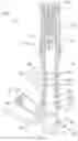 Fig. 03 - Pressurized telescopic front fork leg, front fork and vehicle