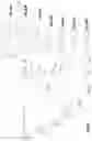 Fig. 19 - Surfcraft Fin Arrangement