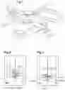 Fig. 02 - Method and a device for assisting the piloting of a hybrid rotorcraft having a lift rotor and at least one propulsion rotor generating thrust