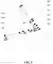 Fig. 09 - Systems and methods for foldable arms