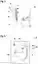 Fig. 06 - Exterior aircraft light, aircraft wing comprising the same, and method of operating an exterior aircraft light