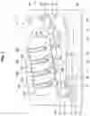 Fig. 02 - Medium containing device and image forming apparatus