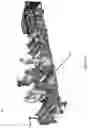 Fig. 04 - Coated, Grooved Roll for Converting Line
