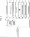 Fig. 06 - Stacker and medium processing device