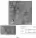 Fig. 07 - Carbon materials