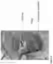 Fig. 08 - Process for the production of commercial grade silicon