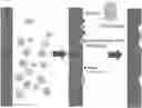 Fig. 01 - Reverse ion exchange process for lithium containing glass
