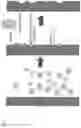 Fig. 02 - Reverse ion exchange process for lithium containing glass