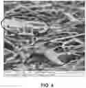 Fig. 05 - Ceramic composition and method of making the composition