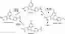 Fig. 01 - Derivatives of sulindac can protect normal cells against oxidative damage