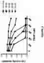 Fig. 04 - Derivatives of sulindac can protect normal cells against oxidative damage
