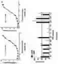 Fig. 06 - Derivatives of sulindac can protect normal cells against oxidative damage