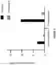 Fig. 08 - Derivatives of sulindac can protect normal cells against oxidative damage