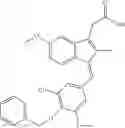 Fig. 13 - Derivatives of sulindac can protect normal cells against oxidative damage