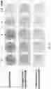 Fig. 13 - Substituted β-lapachones for treating cancer