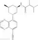Fig. 202 - TLR7/8 antagonists and uses thereof