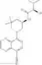 Fig. 248 - TLR7/8 antagonists and uses thereof