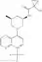 Fig. 286 - TLR7/8 antagonists and uses thereof