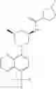 Fig. 293 - TLR7/8 antagonists and uses thereof