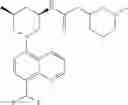 Fig. 338 - TLR7/8 antagonists and uses thereof