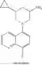 Fig. 368 - TLR7/8 antagonists and uses thereof