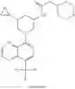 Fig. 370 - TLR7/8 antagonists and uses thereof