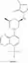 Fig. 387 - TLR7/8 antagonists and uses thereof
