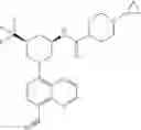 Fig. 613 - TLR7/8 antagonists and uses thereof