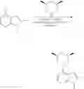 Fig. 656 - TLR7/8 antagonists and uses thereof