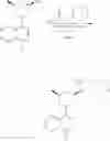 Fig. 716 - TLR7/8 antagonists and uses thereof